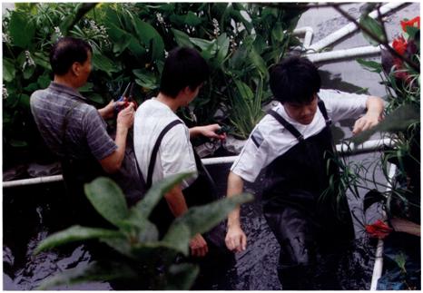 创新实验班学生在河道污水中搭建浮床 研究水质净化方法 