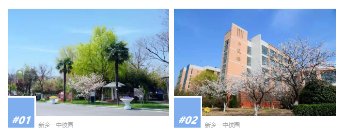 “求知，求真，求健，求美”带你走进河南省新乡市第一中学