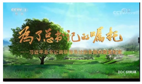 教育部凉山教育帮扶冕宁座谈会总结简报